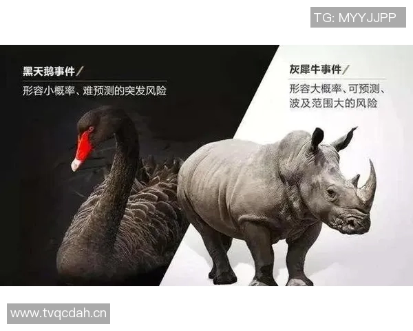 东方日报即时新闻：突发重大事件引关注，专家解析影响与后续发展